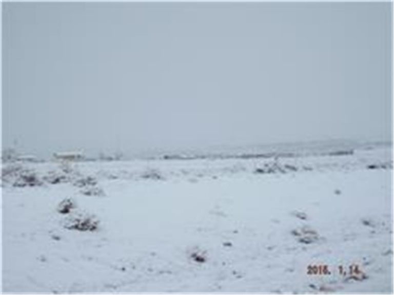 Photo Gallery Toadlena/Two Grey Hills