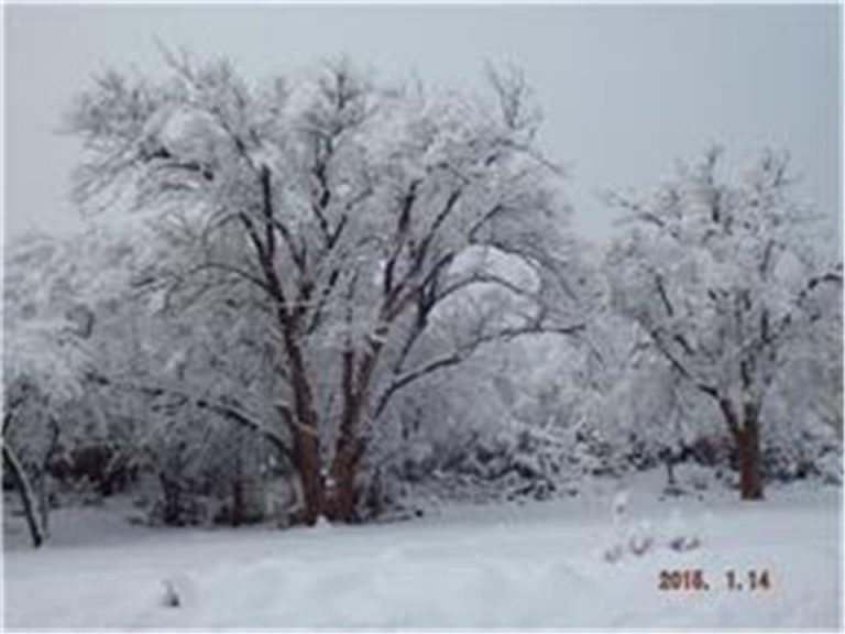 Photo Gallery Toadlena/Two Grey Hills