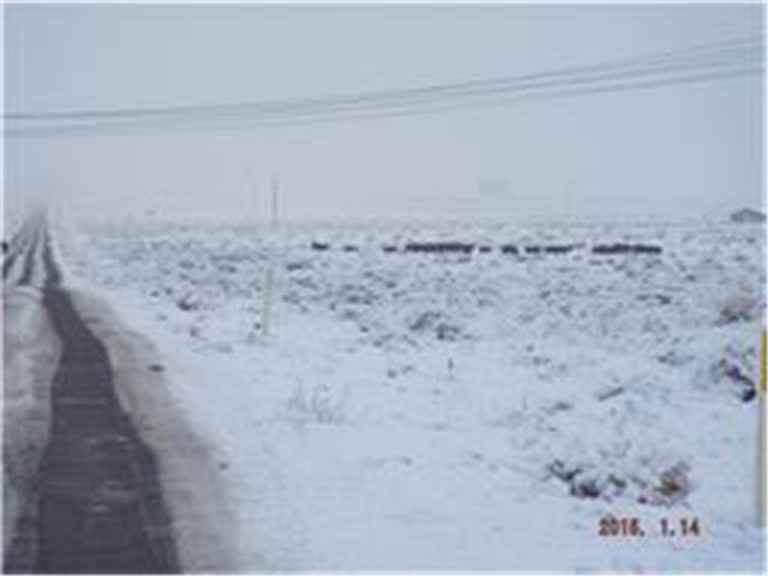 Photo Gallery Toadlena/Two Grey Hills