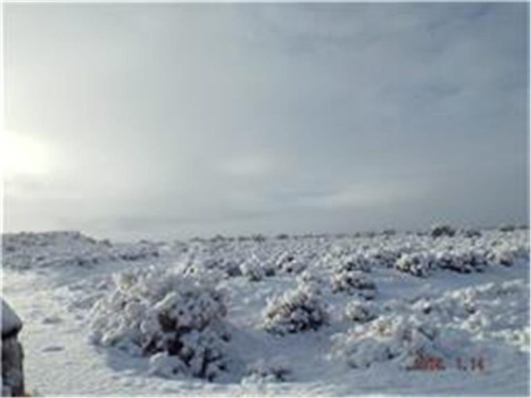 Photo Gallery Toadlena/Two Grey Hills