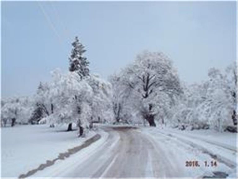 Photo Gallery Toadlena/Two Grey Hills